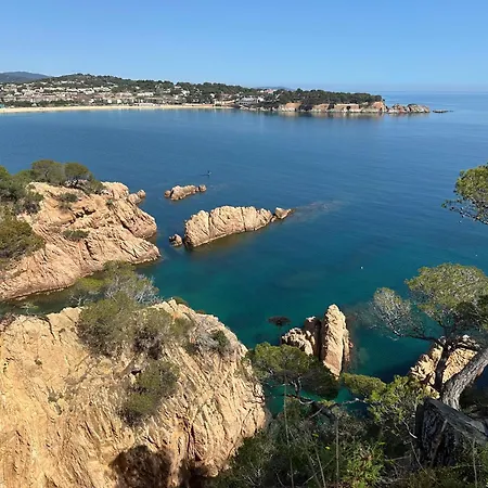Appartement Center *